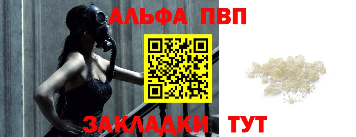Альфа ПВП СК КРИС Шали