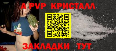 гашик Моздок
