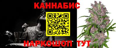 гашик Моздок