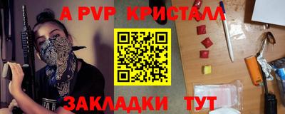 гашик Моздок