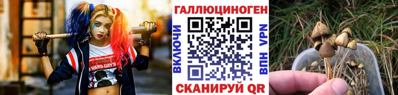 Галлюциногенные грибы GOLDEN TEACHER  Купить где  Шали 