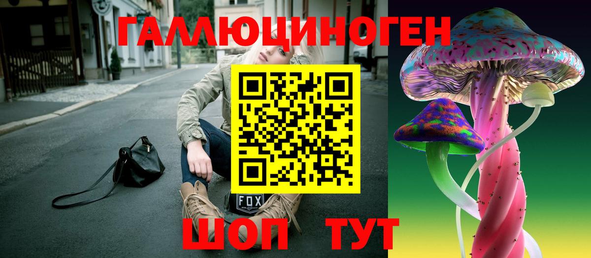 Псилоцибиновые грибы Cubensis  Шали  Псилоцибиновые грибы Psilocybe 