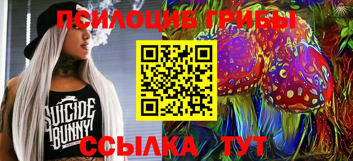 Шали  Псилоцибиновые грибы мухоморы  Вход с VPN 