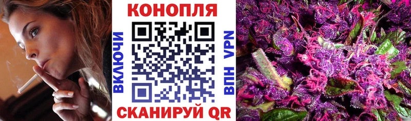Бошки марихуана сатива  Купить где  Шали 